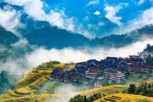 广西的卵子库在哪里？附2023借卵试管全部流程