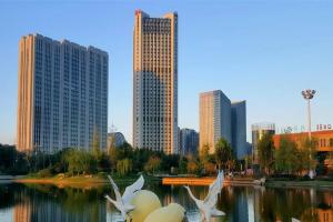 新乡哪里有卵子库？仅1家公立试管医院可选