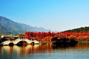 广东公认最好的十大生殖医院，中山一、二、六院均上榜