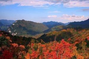 高龄失独四川供卵试管成功率预估，2023成功率前十医院排名揭晓