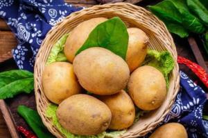 哺乳期可以吃土豆吗？不会回奶放心吃