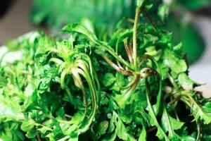 孕妇不能吃的三种野菜，轻则腹痛重则流产！