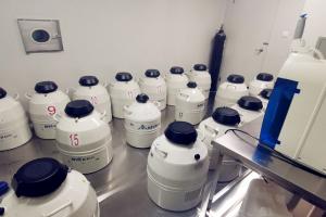 2023湖南私立供卵机构排名公布-附机构供卵试管综合水平评估