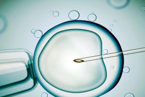 2023湖南正规供卵机构花名册大曝光-附供卵试管婴儿费用明细单