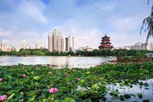 2023济宁民间供卵试管机构排名，口碑排名好的私立供卵机构介绍