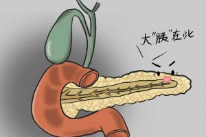胰腺炎人千万不能吃七大食物，不然影响病情恢复