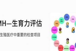 amh0.02能做供卵试管吗？抓紧时间才能扭转局面