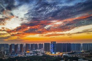 2023南阳正规供卵医院排名公开，附各院供卵试管成功率参考