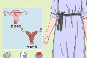双角子宫做试管成功率高吗？3个方法把试管成功率翻倍