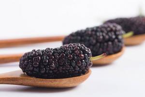桑葚干一天吃多少颗最佳?控制在这个范围内才不伤身