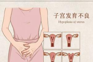 子宫畸形双子宫能做试管婴儿吗？前提是女性满足这3大条件