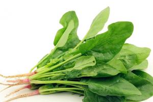 吃菠菜有什么禁忌吗？吃完菠菜千万别碰5种食物！