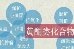 盘点黄酮的6大功效，或能延年益寿抗衰老