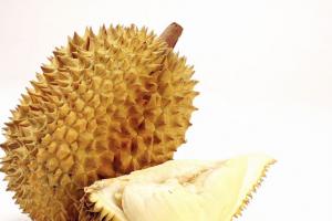 榴莲硬邦邦的是没有熟吗？榴莲成熟判断标准分享