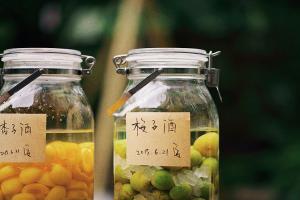 盘点梅子酒对男人的危害，提醒这4类人要少碰