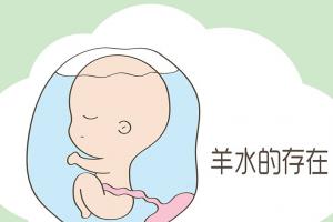 羊水深度看男孩女孩是真的吗？准不准马上告诉你