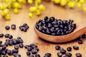 黑豆怎么吃最好？2023赠你黑豆最好的吃法