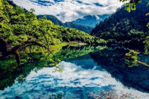 九寨沟旅游怎么玩？2023赠你九寨沟旅游攻略