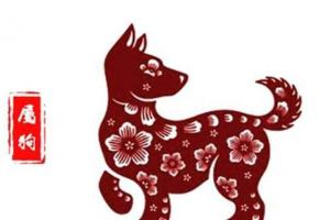 属狗人的五个贵人，相互协助，共同进步