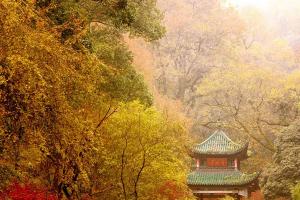 长沙有什么好玩的旅游景点？2023长沙必去的5个景点推荐