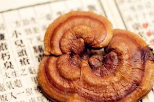 什么人群不宜吃灵芝？6种人不宜吃灵芝