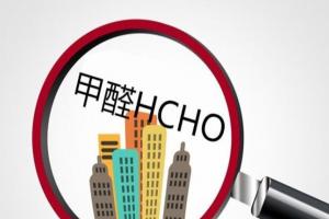 其实甲醛最怕3种花，养1盆可保护一家老小