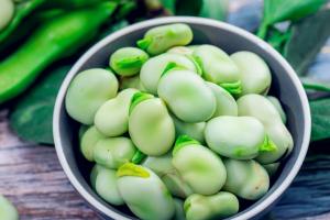 蚕豆有哪些功效？2023蚕豆的功效与作用分享