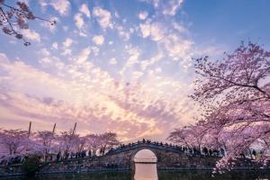 2023无锡旅游必去十大景点，少一个没去那真是太遗憾了