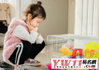 起名大全女宝宝