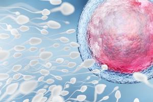 2023广东三代试管生男孩医院揭晓-附试管代怀生子机构花名册