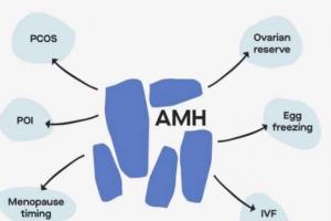 amh0.01还能生孩子吗？不试试怎么知道不行！