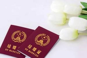 未婚试管婴儿费用大概要多少钱？附2023最新未婚试管费用解读