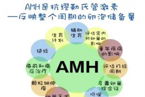 amh0.04还有希望自然怀孕吗？借助试管技术怀孕几率更高