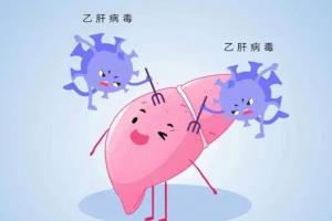 女方有乙肝能做试管婴儿吗？病情稳定后即可开展助孕