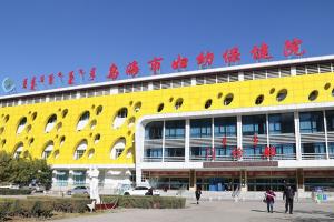 2023乌海市妇幼保健院供卵试管费用明细表，附最新供卵成功率