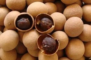 孕妇可以吃桂圆吗？准妈妈必须遵循的7个饮食禁忌
