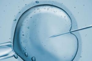试管胚胎移植前多久可以拔牙？孕期牙病的危害有哪些？