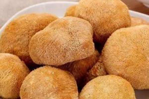 六种人不宜吃猴头菇，发热人群食用会导致病情加重