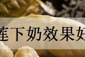 榴莲有下奶的功效吗?有下奶作用的食物有哪些？