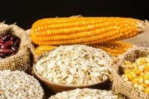 十种最佳降糖主食粗粮有哪些？降糖从主食开始