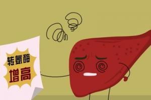 转氨酶偏高怎么快速降下来?导致转氨酶升高的原因