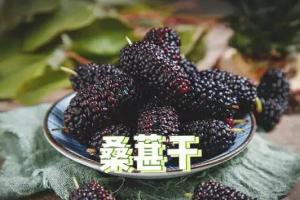 桑葚干的功效与作用有哪些？食用方法有哪些？