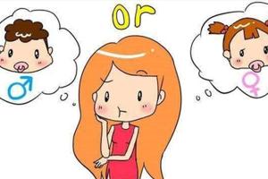 试管婴儿中，关于生男生女几率问题的科学分析