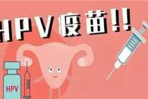 国产二价与进口二价的区别？“国民良心”低价格高效果
