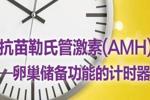AMH值0.39做试管婴儿还能怀孕吗？想生育就要趁早了