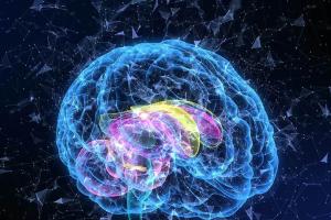 脑白质营养不良能做第三代试管吗？专家给出了肯定的答案
