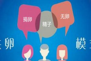 解读试管婴儿试管婴儿详细流程（内附费用明细）