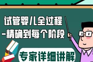 专家详细讲解试管婴儿全过程-精确到每个阶段