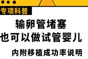 [专项科普]输卵管堵塞也可以做试管婴儿（内附移植成功率说明）