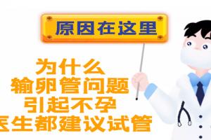 为什么输卵管问题引起不孕医生都建议试管-原因在这里
